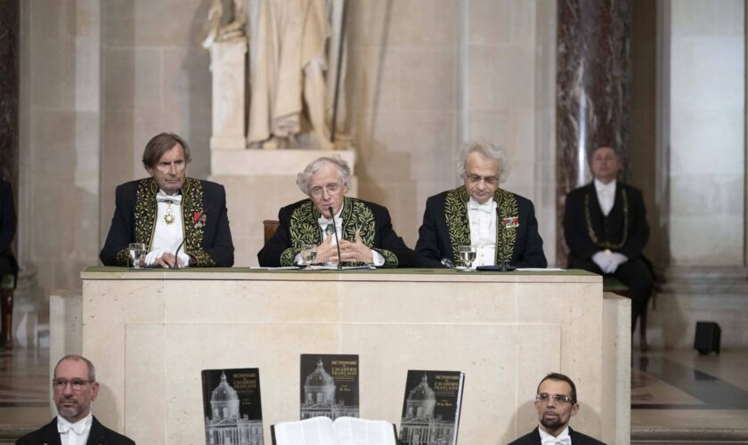 « Contrairement à ce que pense l’Académie, un anglicisme est un mot français »