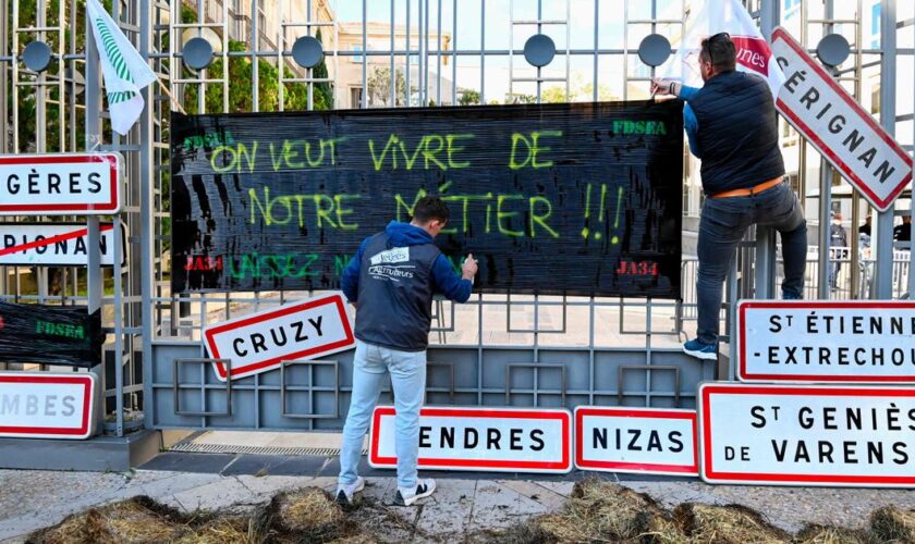 Colère des agriculteurs : “Il flotte en France un air de déjà-vu”