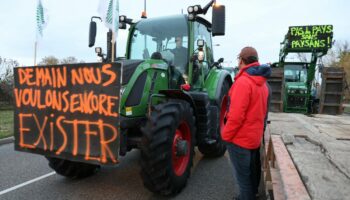 Colère des agriculteurs : Montpellier, Vesoul, Strasbourg… Le point sur la mobilisation ce lundi