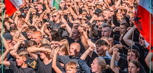 AfD-Erfolge unter jungen Deutschen: Rechtsruck oder nur die halbe Wahrheit? – Podcast