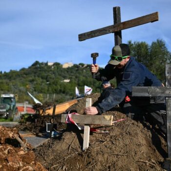 Landwirtschaft: Deutscher Bauernverband fordert Stopp von EU-Mercosur-Abkommen