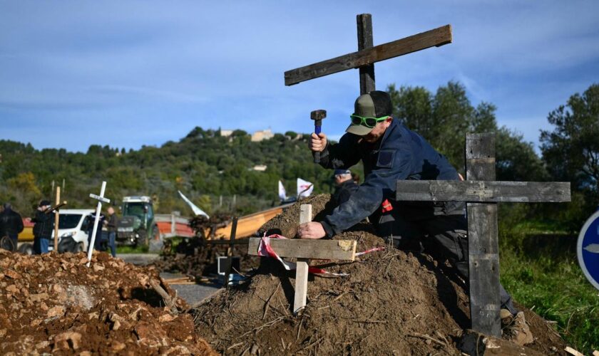 Landwirtschaft: Deutscher Bauernverband fordert Stopp von EU-Mercosur-Abkommen