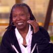 Whoopi Goldberg does not address back-and-forth with bakery during 'The View'