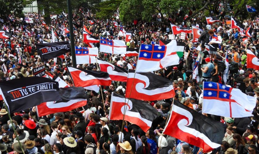 35,000 crowd New Zealand's Parliament grounds in support of Māori rights