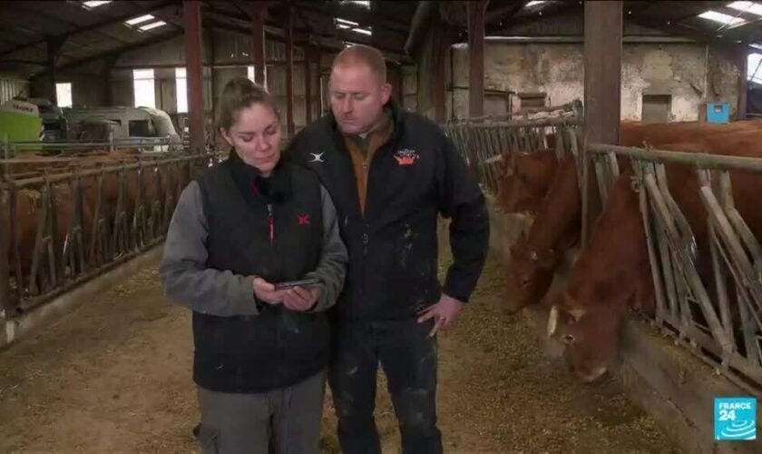 France : de nombreux agriculteurs dénoncent des promesses non tenues