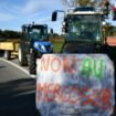 Manifestation d'agriculteurs le 18 novembre 2024 au Cannet-des-Maures (Var)