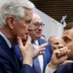 Mercosur : Pourquoi Emmanuel Macron et Michel Barnier s’agitent autant (et le font savoir) sur ce traité