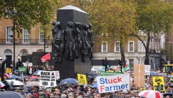 Farmers threaten 'direct action' with major strikes as anger over family farm tax mounts