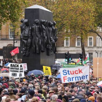 Farmers threaten 'direct action' with major strikes as anger over family farm tax mounts