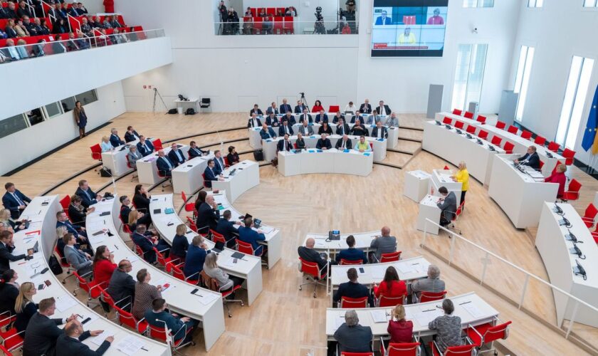 Für den Brandenburger Landtag gibt es bisher eine automatische Erhöhung der Diäten. (Archivbild) Foto: Soeren Stache/dpa;POOL/dp