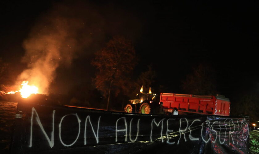 Accord UE-Mercosur : les bénéfices pour la France et l'Europe dont on parle peu