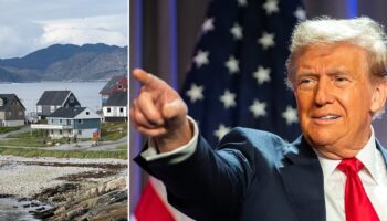 President-elect Trump has considered buying Greenland: Here's every proposal in American history