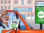 TfL has stopped refunding me Ulez fees when I go for cancer treatment: SALLY SORTS