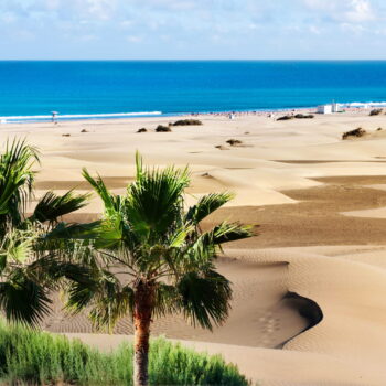 C'est le Sahara en bord de mer, cette plage unique est à visiter toute l'année - il y fait 25 degrés en plein hiver !