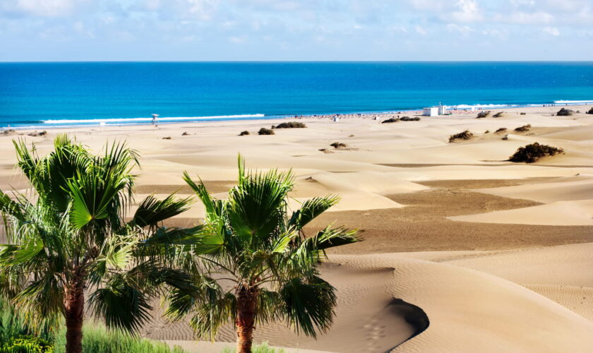 C'est le Sahara en bord de mer, cette plage unique est à visiter toute l'année - il y fait 25 degrés en plein hiver !