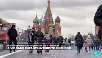 Russie : la chambre haute approuve une loi interdisant la promotion de la vie "sans enfants"