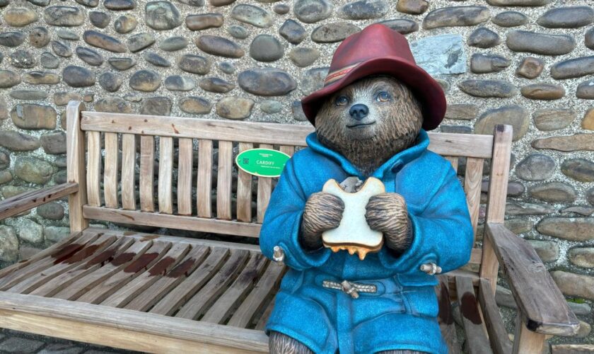 A Paddington bear statue has been moved to its new home in Cardiff Castle