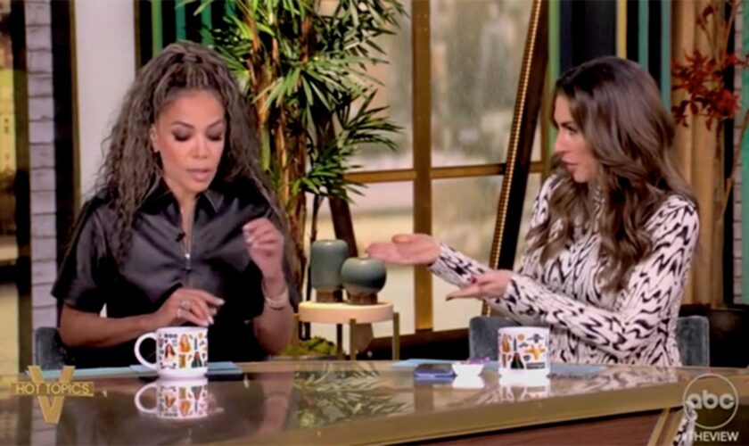 'The View' co-hosts clash over school choice: 'She's been talking for three minutes!'