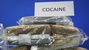 Près de 45 tonnes de cocaïne déjà saisies en 2024, le double de 2023