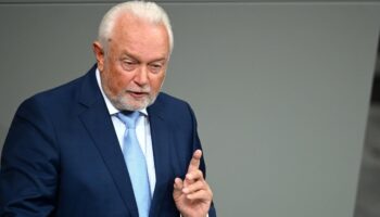 „Wird offensichtlich ein Klima der Einschüchterung geschaffen“ – Kubicki kritisiert Grüne