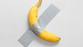 Alle zwei bis drei Tage wird die Banane ausgetauscht. Foto: Sotheby's/dpa