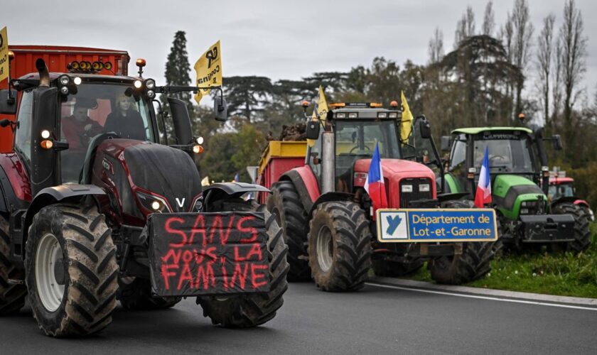 Colère des agriculteurs : FNSEA, Coordination rurale, Confédération paysanne… Qui sont les différents syndicats agricoles ?