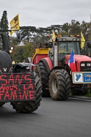 Colère des agriculteurs : FNSEA, Coordination rurale, Confédération paysanne… Qui sont les différents syndicats agricoles ?