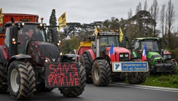 Colère des agriculteurs : FNSEA, Coordination rurale, Confédération paysanne… Qui sont les différents syndicats agricoles ?