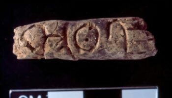 Archaeologists unearth oldest alphabet from ancient tomb