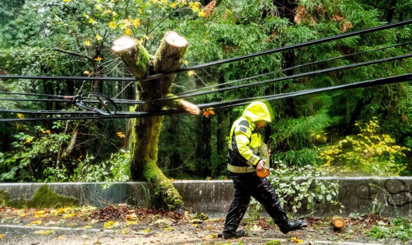 Hunderttausende Menschen entlang der US-Westküste sind ohne Strom. Foto: Noah Berger/AP/dpa