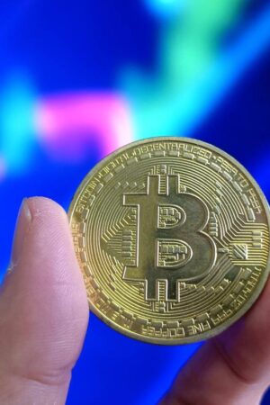 Le bitcoin franchit la barre des 95 000 dollars pour la première fois, boosté par l’« effet Trump »