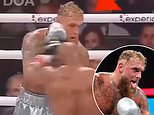 Fans think they've spotted the moment which proves Mike Tyson vs Jake Paul was FIXED - as conspiracy theories over Netflix bout continue