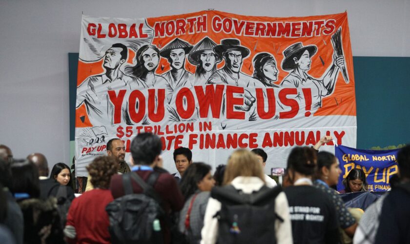 Environmental activists hold a protest during the COP29 United Nations climate change conference, in Baku, Azerbaijan November 21, 2024. Pic: Reuters