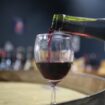 Beaujolais nouveau 2024 : notre sélection de huit bouteilles de ce célèbre vin rouge qui se réinvente