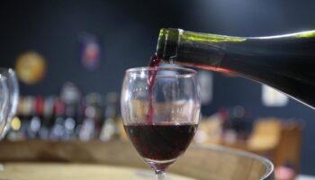 Beaujolais nouveau 2024 : notre sélection de huit bouteilles de ce célèbre vin rouge qui se réinvente