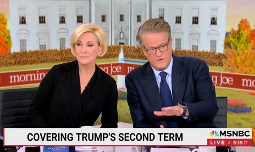 Washington Post media critic urges Democrats to 'turn off Morning Joe' after their meeting with Trump