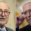 Senate showdown: GOP secures deal with Schumer to save coveted appellate judges for Trump