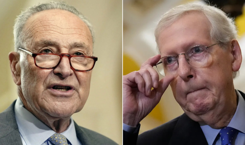 Senate showdown: GOP secures deal with Schumer to save coveted appellate judges for Trump