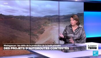 Madagascar: la construction de 2 autoroutes menace la forêt primaire