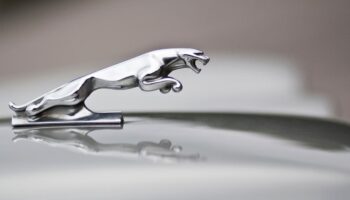 ‘Killed a British icon’: Jaguar’s modernist rebrand sparks anger and mockery online