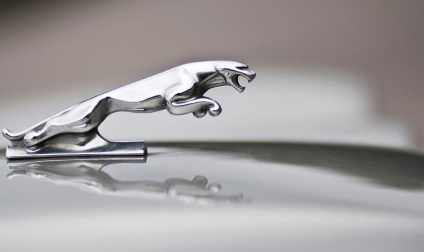 ‘Killed a British icon’: Jaguar’s modernist rebrand sparks anger and mockery online