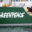 Greenpeace France quitte X (ex-Twitter), l’accusant de favoriser le « climatoscepticisme »