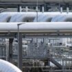 Nord Stream: US-Milliardär will Pipeline ersteigern