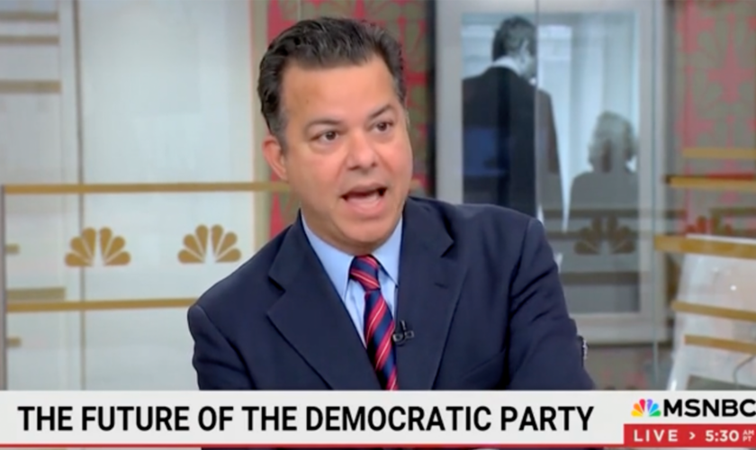 Ex-CNN anchor who ran for Congress says Democrats have become 'party of the status quo'