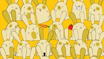 Only those with insane IQ can spot the single bunny among pairs in nine seconds flat