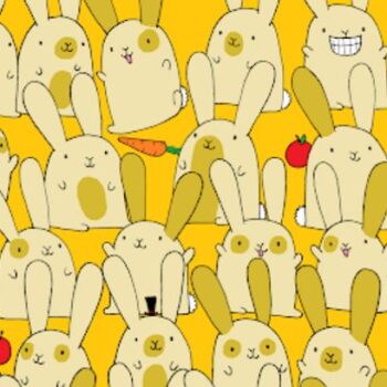 Only those with insane IQ can spot the single bunny among pairs in nine seconds flat