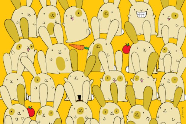 Only those with insane IQ can spot the single bunny among pairs in nine seconds flat