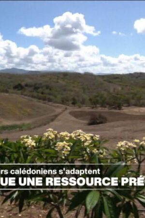 Nouvelle-Calédonie : l'eau, une ressource devenue précieuse pour les agriculteurs