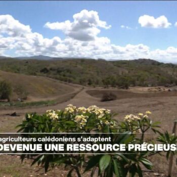 Nouvelle-Calédonie : l'eau, une ressource devenue précieuse pour les agriculteurs