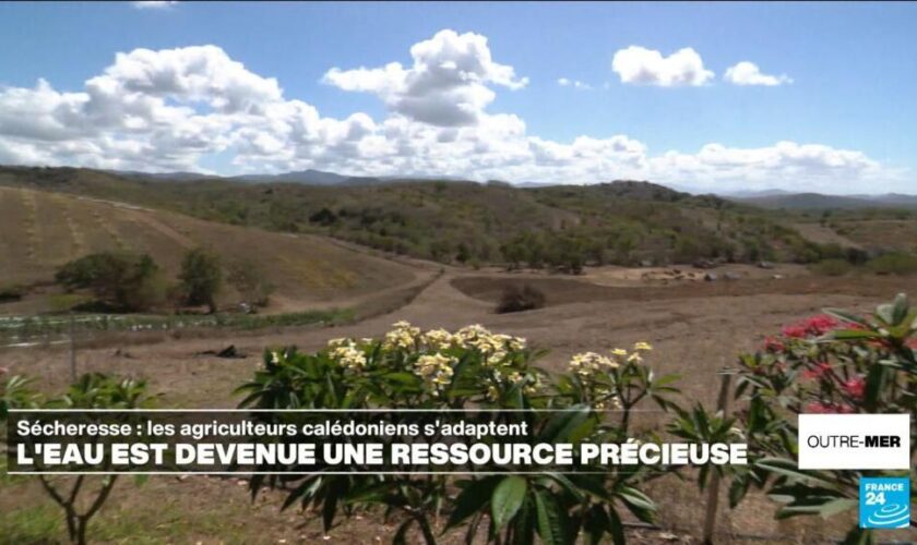 Nouvelle-Calédonie : l'eau, une ressource devenue précieuse pour les agriculteurs